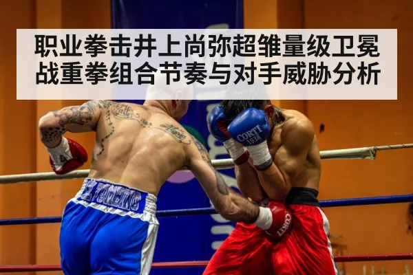 professional boxing match