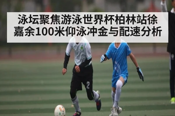泳坛聚焦游泳世界杯柏林站徐嘉余100米仰泳冲金与配速分析